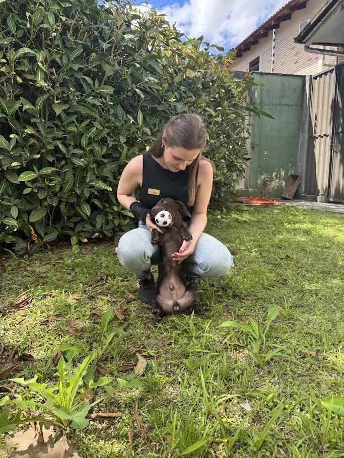 Letícia Neuberger durante atendimento veterinário domiciliar em Joinville