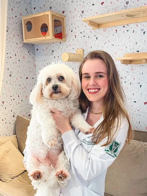 Veterinária avaliando cão para emissão de atestado de saúde para viagem em Joinville